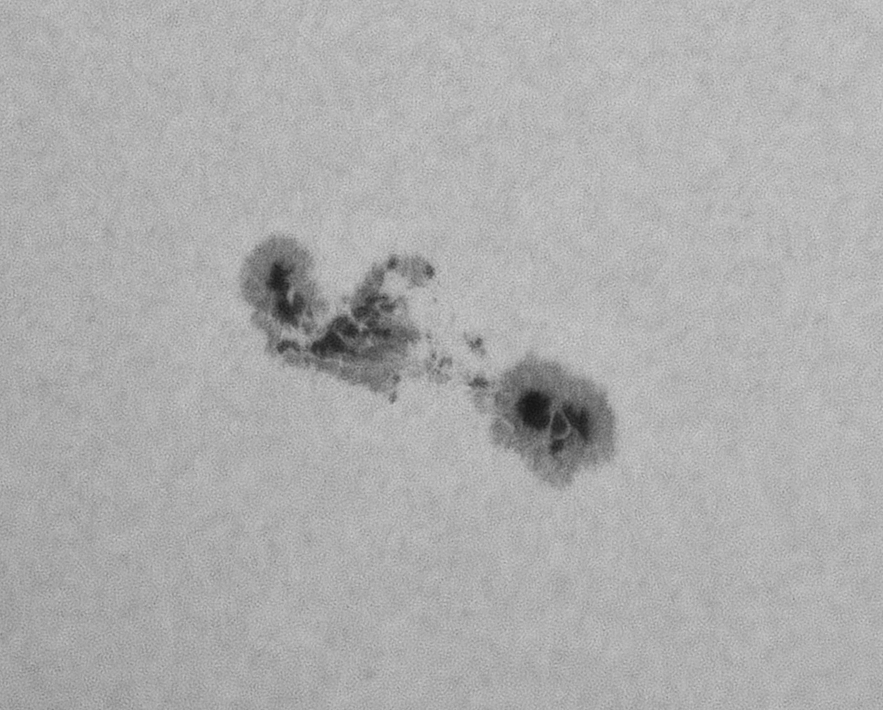 Sonne in Ca-K/Ca-H am 27.05.2023 - AR 3315