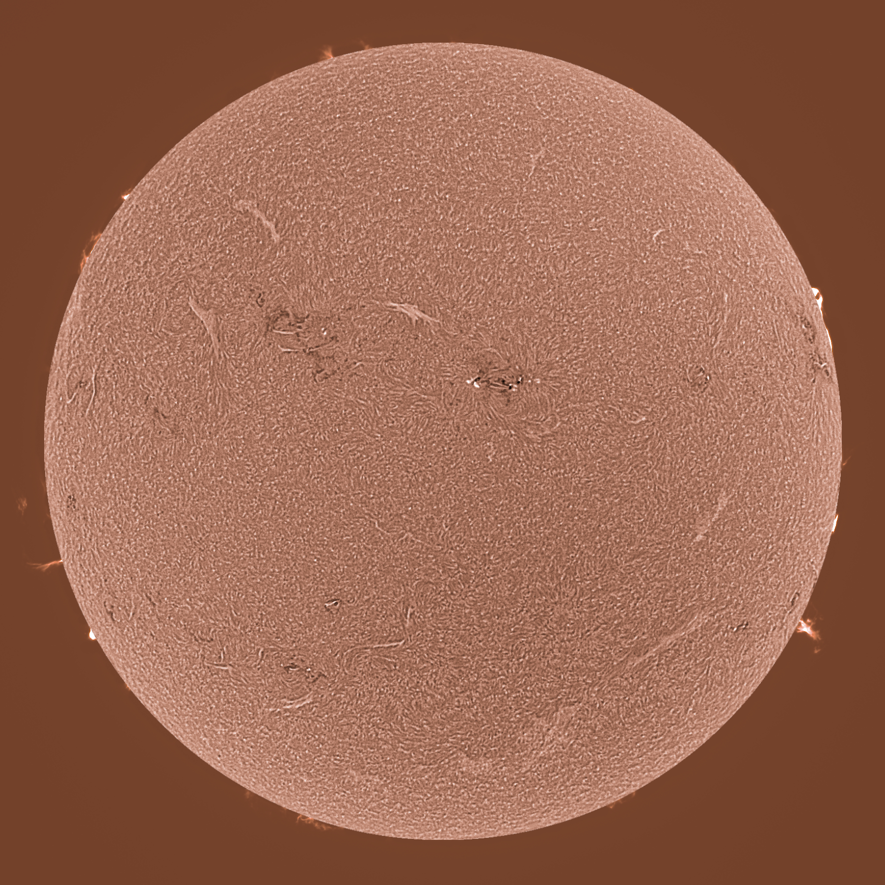Sonne in H-alpha am 10.09.2023 (invertiert)