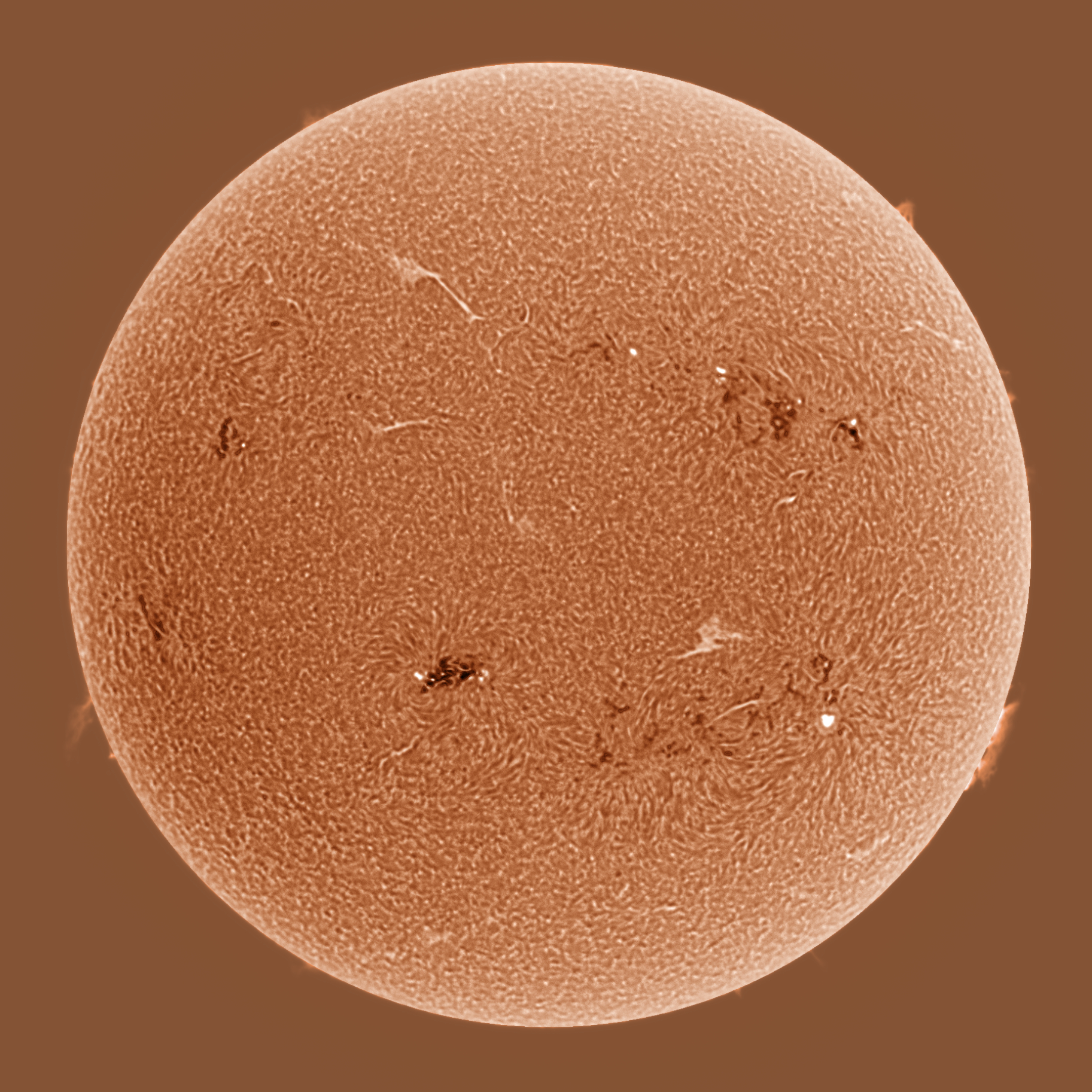 Sonne in H-Alpha am 26.05.2023 (invertiert)