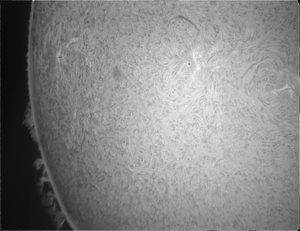sonne+protube2.jpg