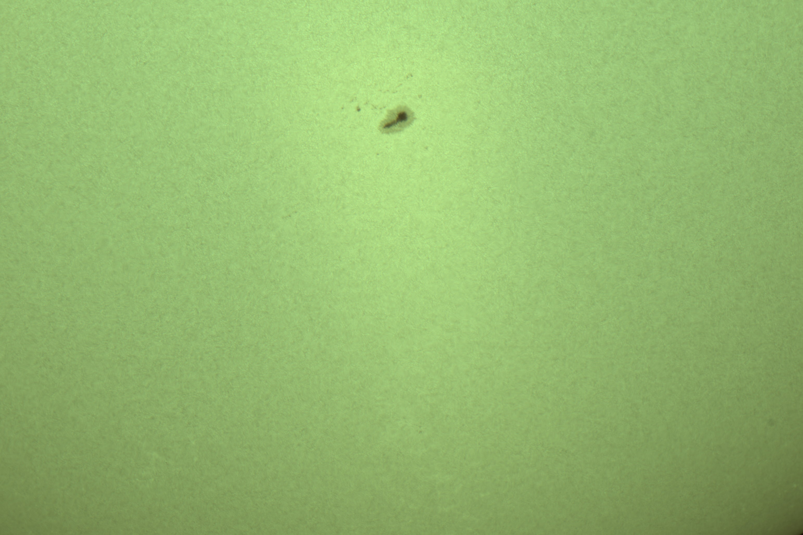 Sonne