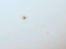 Sonne001b.jpg