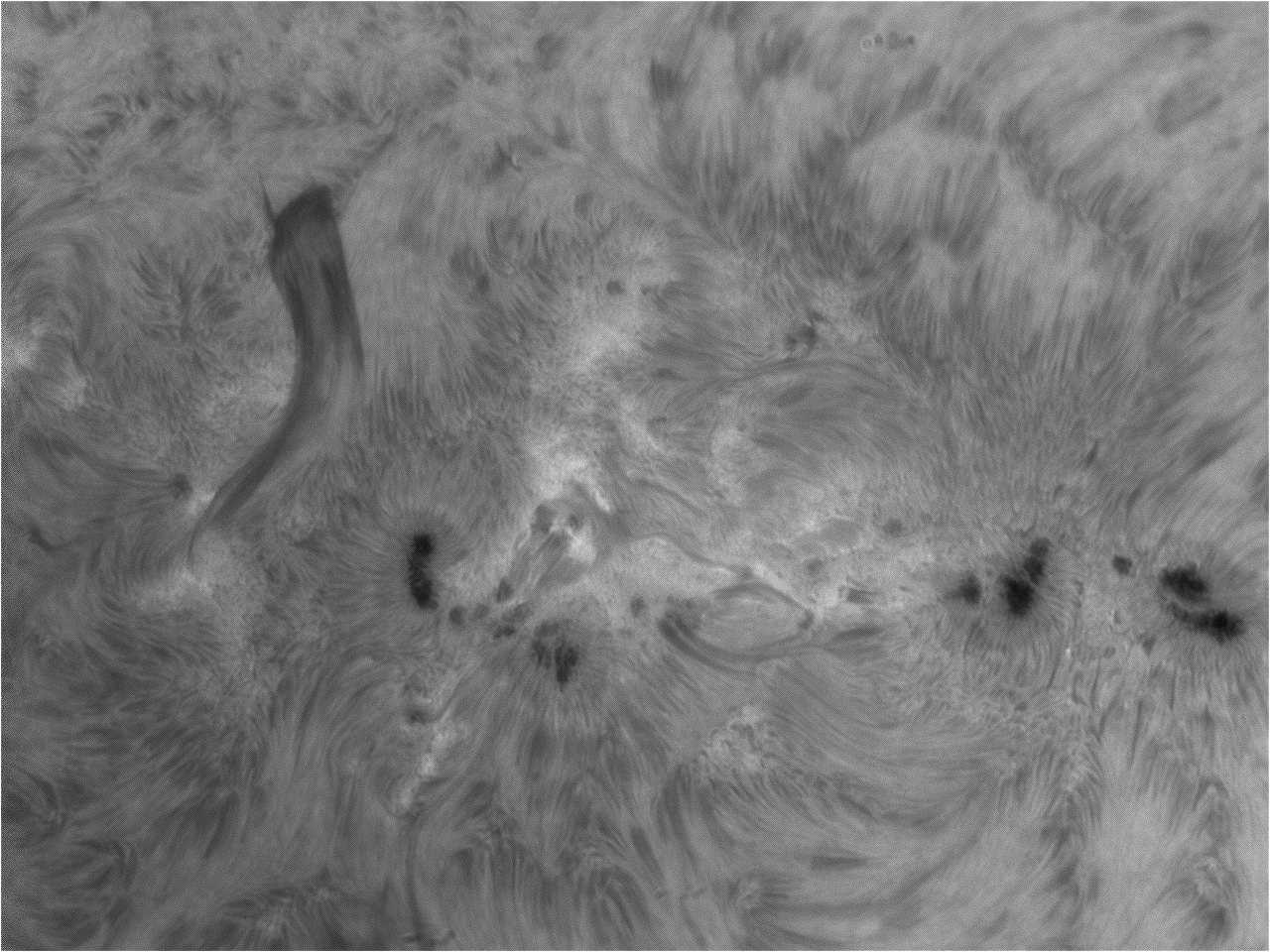 sonne1.jpg