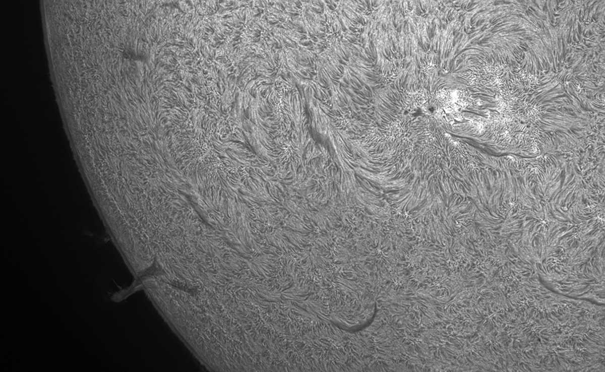 Sonne_105029_g2_ap9896_1200.jpg