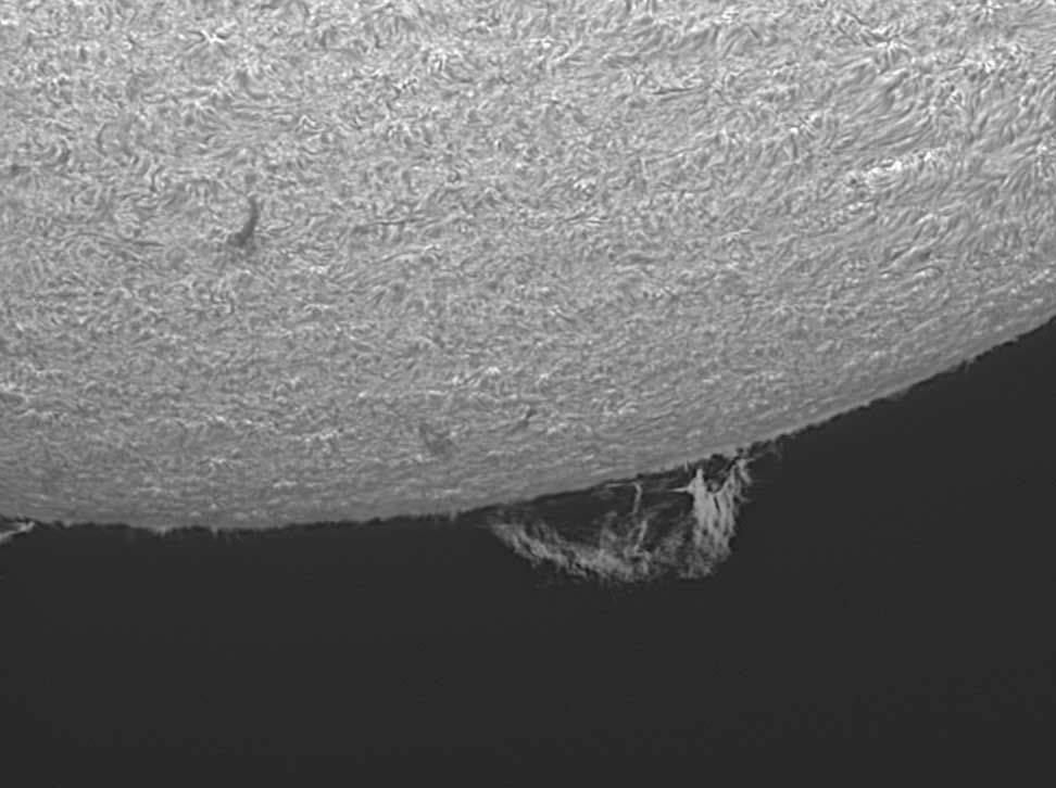 Sonne_1web.jpg