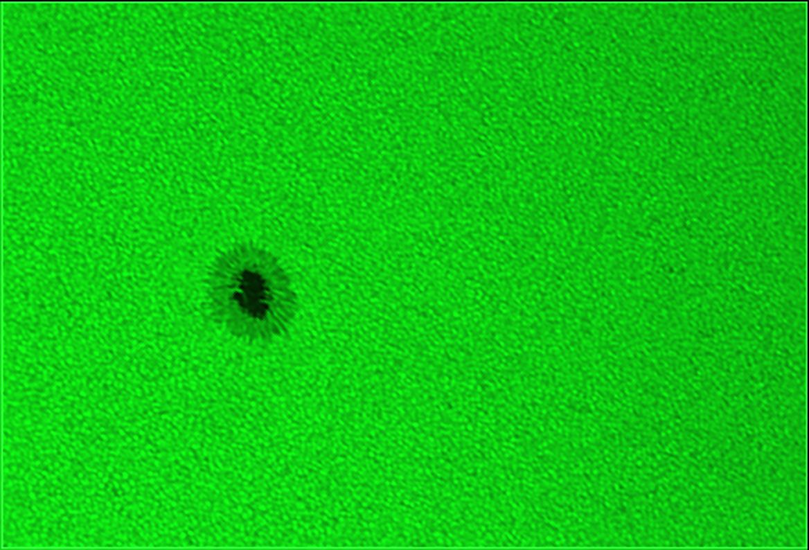 Sonne_20100704_13h52MESZ_120ED_Scopium.jpg