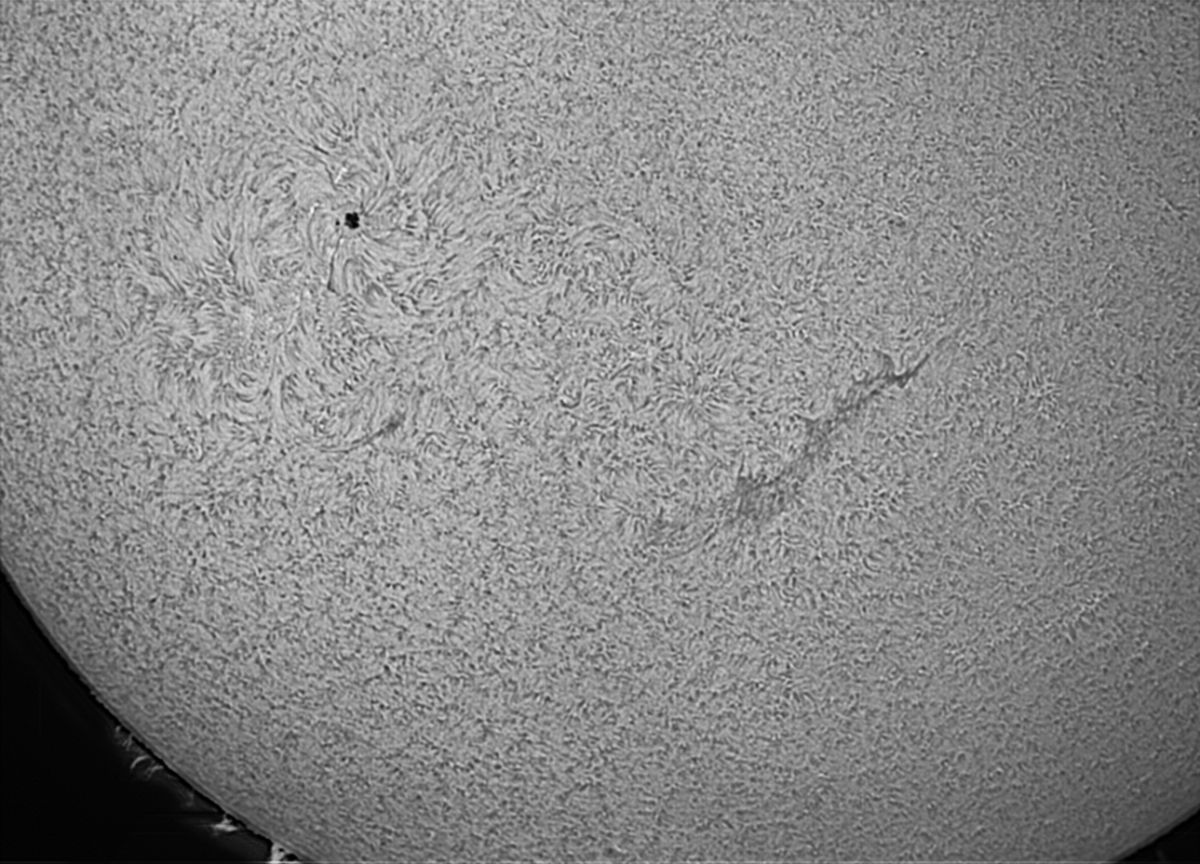 Sonne_20100801_PST.jpg