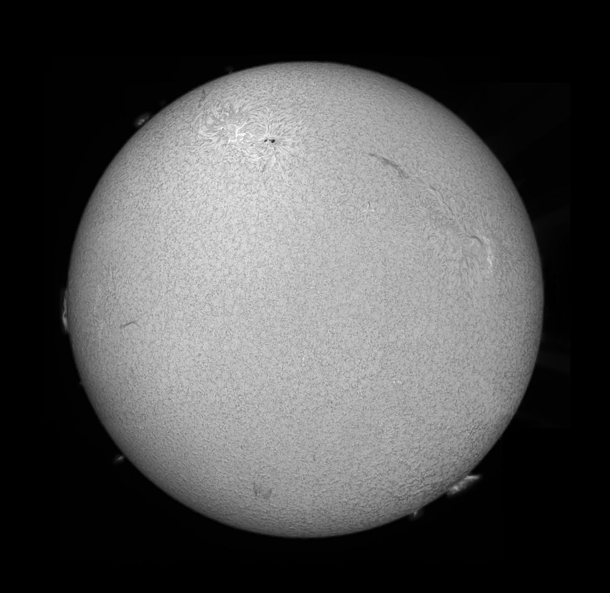 Sonne_20100920_PST.jpg