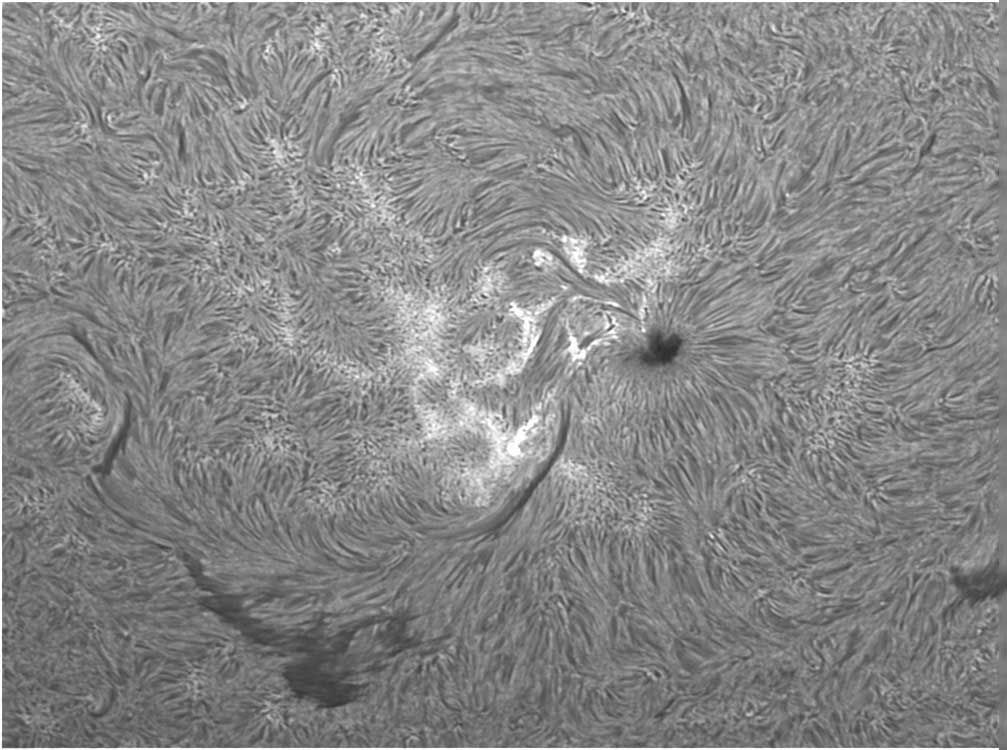 Sonne_2web.jpg
