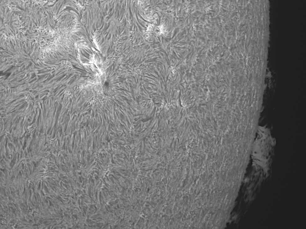Sonne_4web.jpg