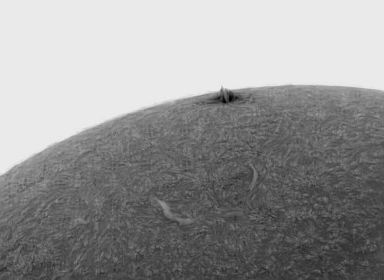 sonne_9a.jpg