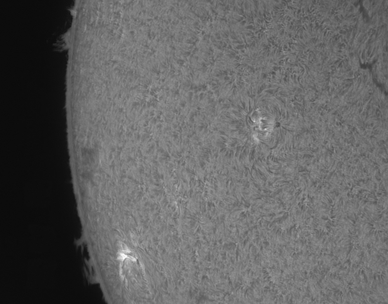 Sonne_Ha_1_300426.jpg