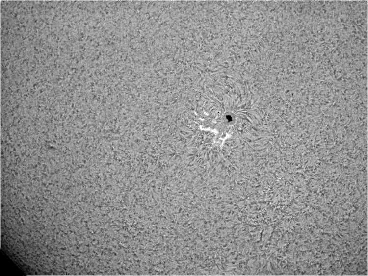 Sonne_Test_2_215.JPG