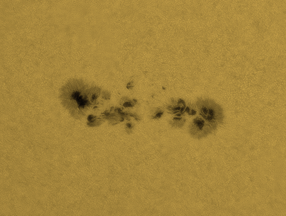 Sonne_WL_3315_26052023.jpg