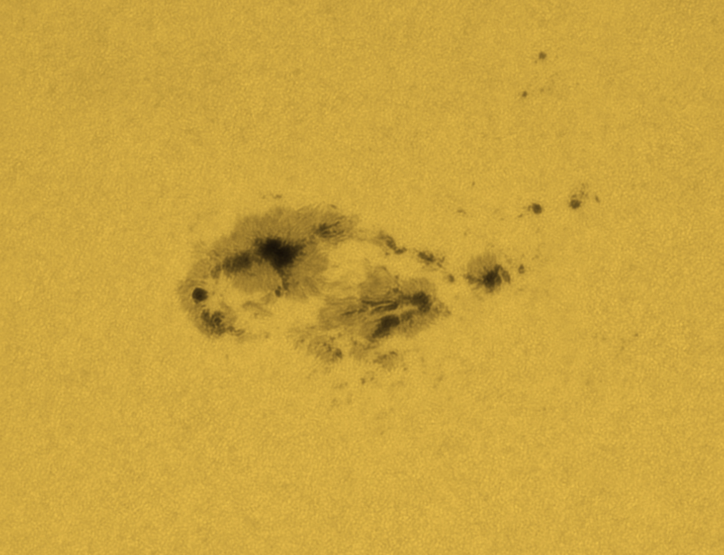 Sonne_WL_3354__28062023.jpg