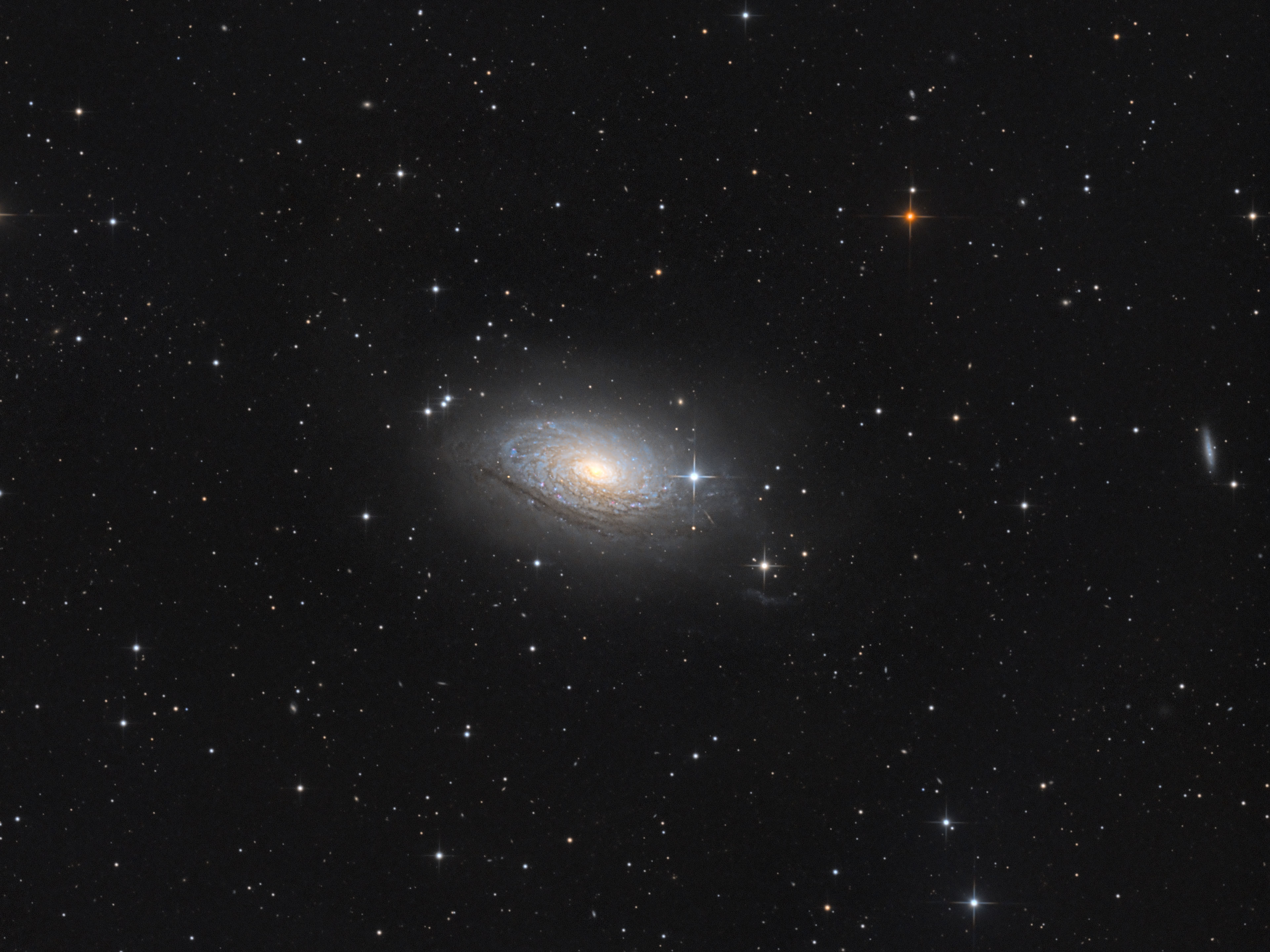 Sonnenblumengalaxie M63 (Crop)