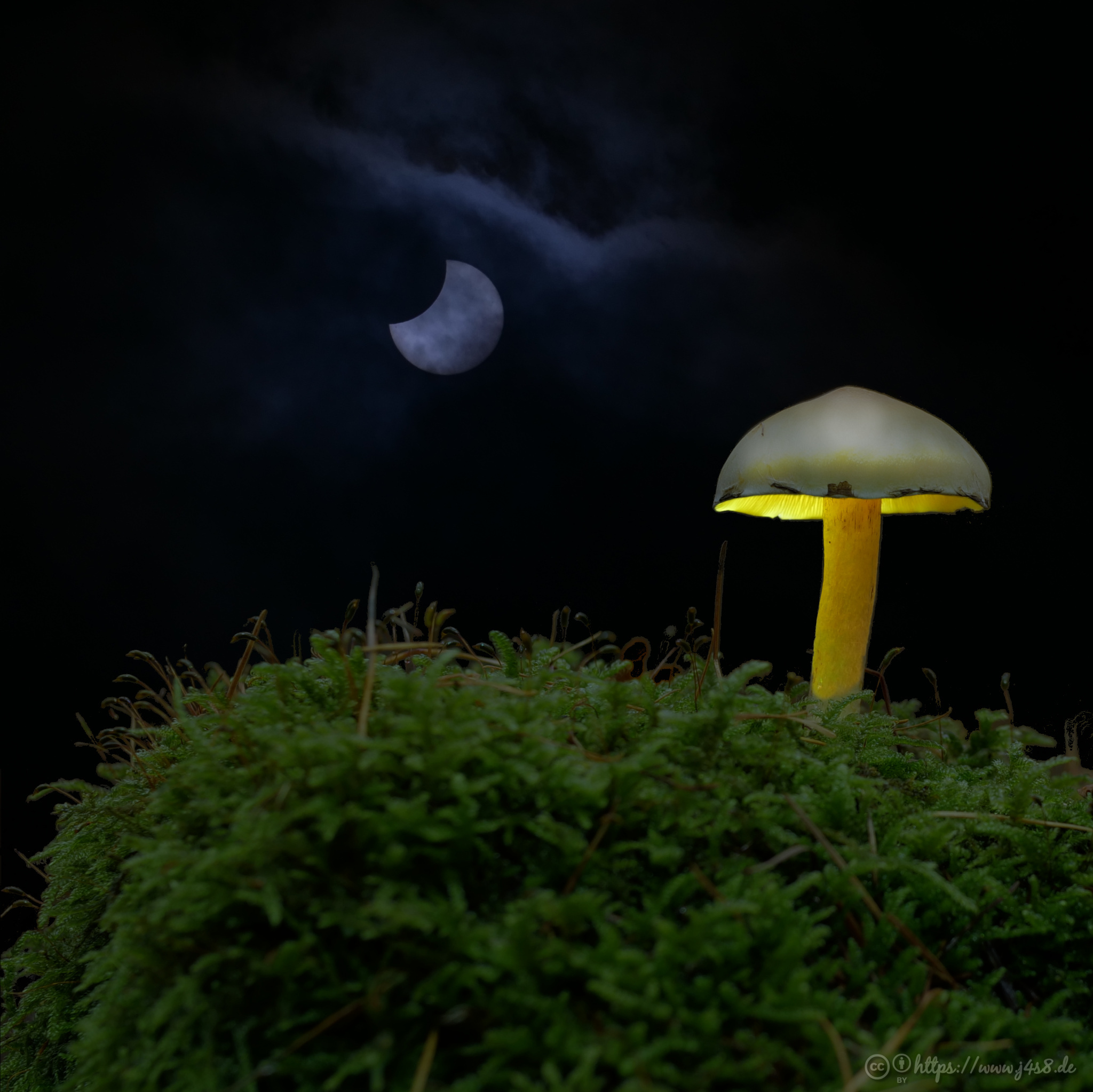 Sonnenfinnsternis vom 20.10.2022 mit Pilz