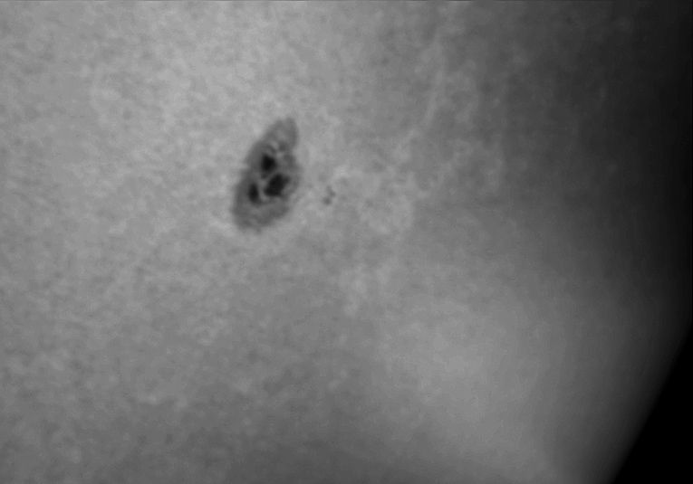 Sonnenfleck - 1057 - Katze oder Osterhase?