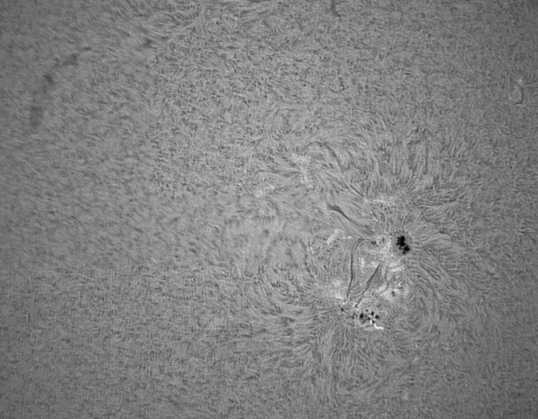 Sonnenfleck 1890 im Halpha - licht 09 11 13 i.jpg