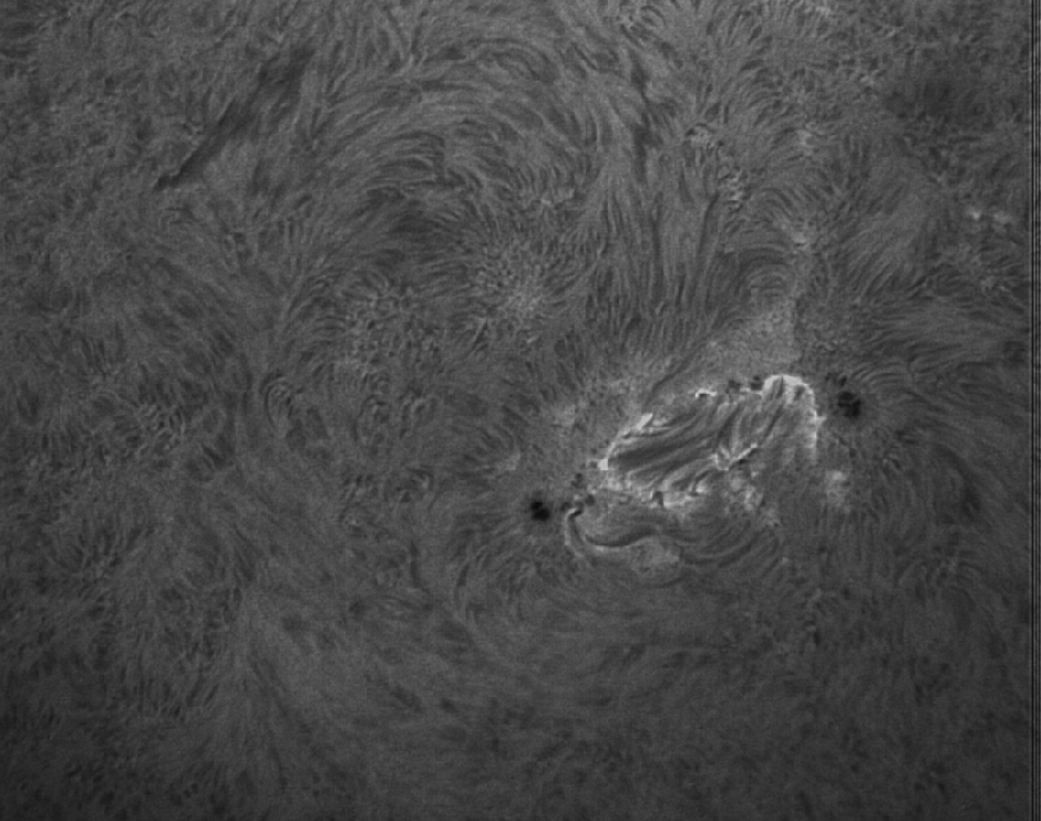 Sonnenfleck 2152 in H-alpha und sw