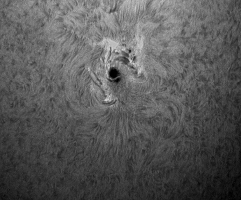 Sonnenfleck 2158 vom 08.09.  in H-alpha und sw