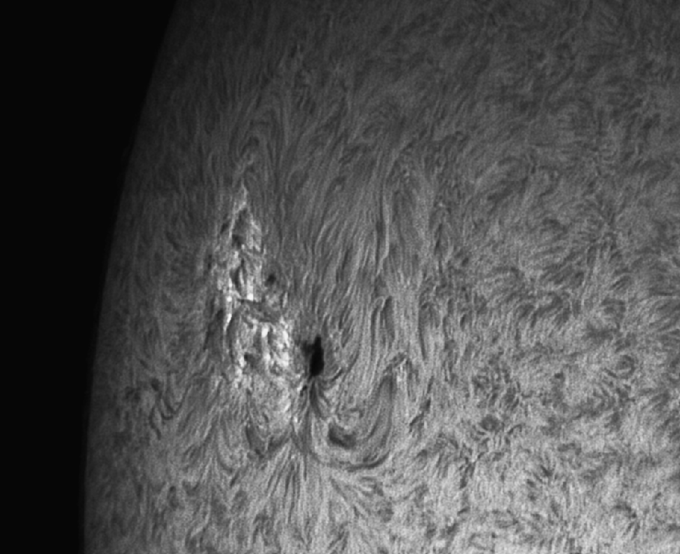 Sonnenfleck 2371 vom 17.06.2015