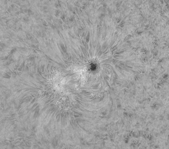 Sonnenfleck in Ha am 24.05.2010