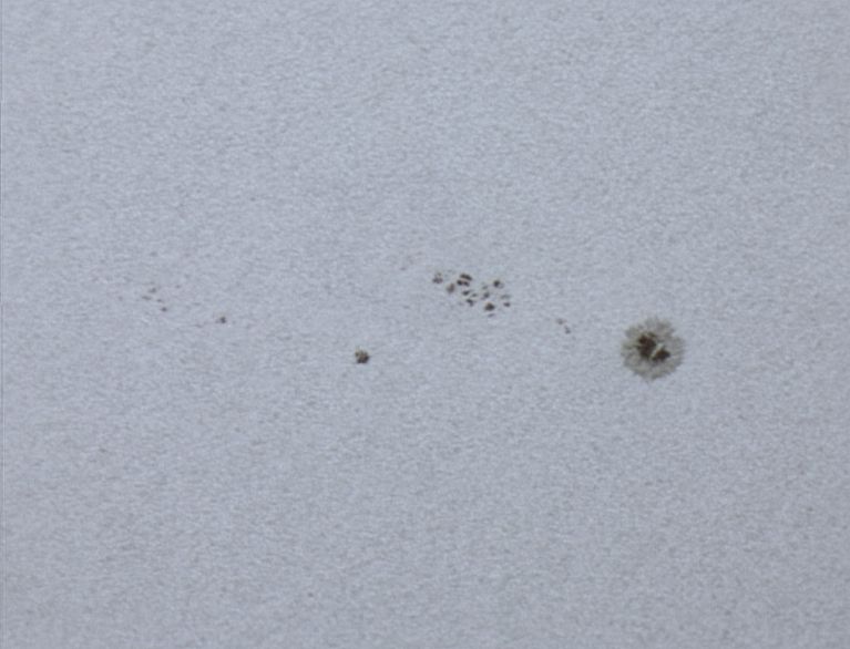 Sonnenflecken 1721 und 1722