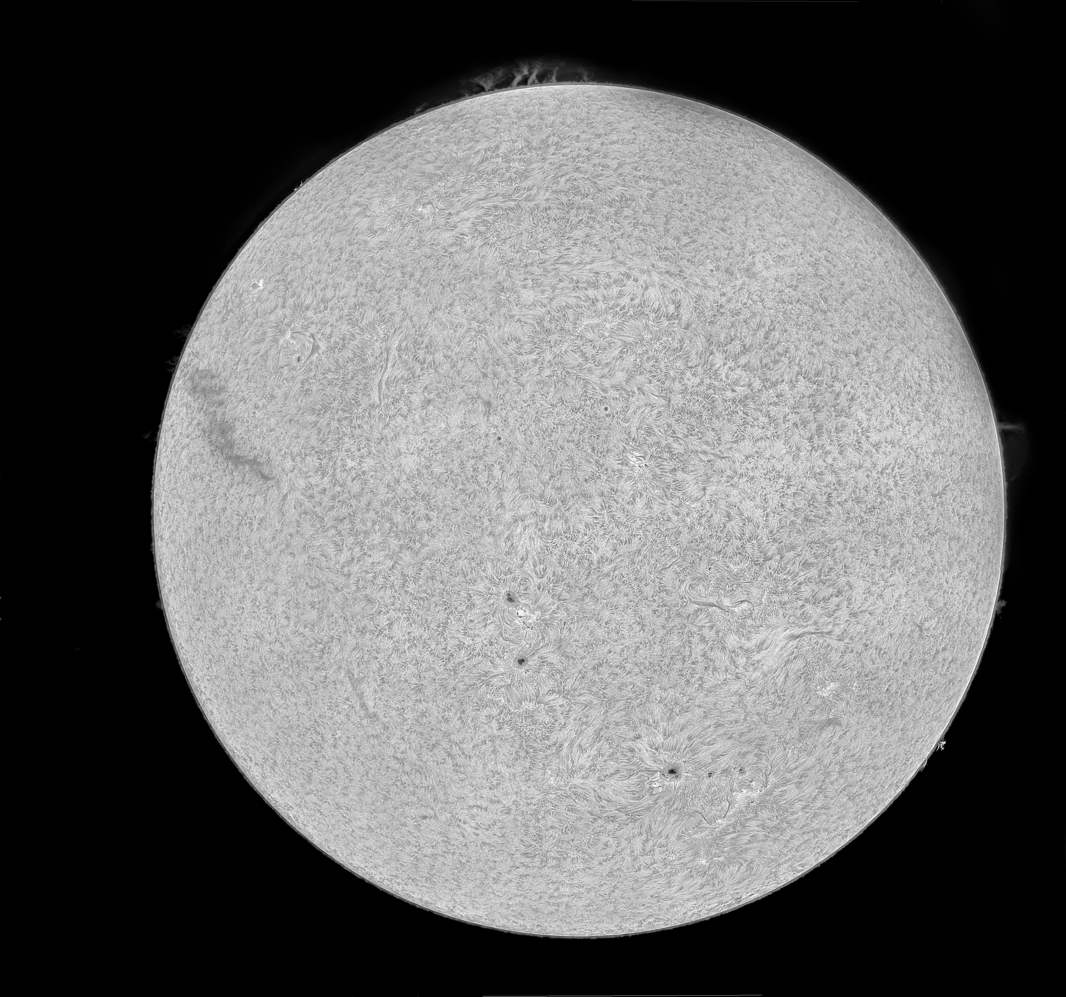 Sonnenmosaik, in der Mittagspause