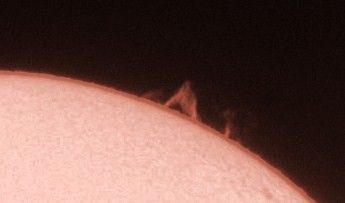 sonnentest