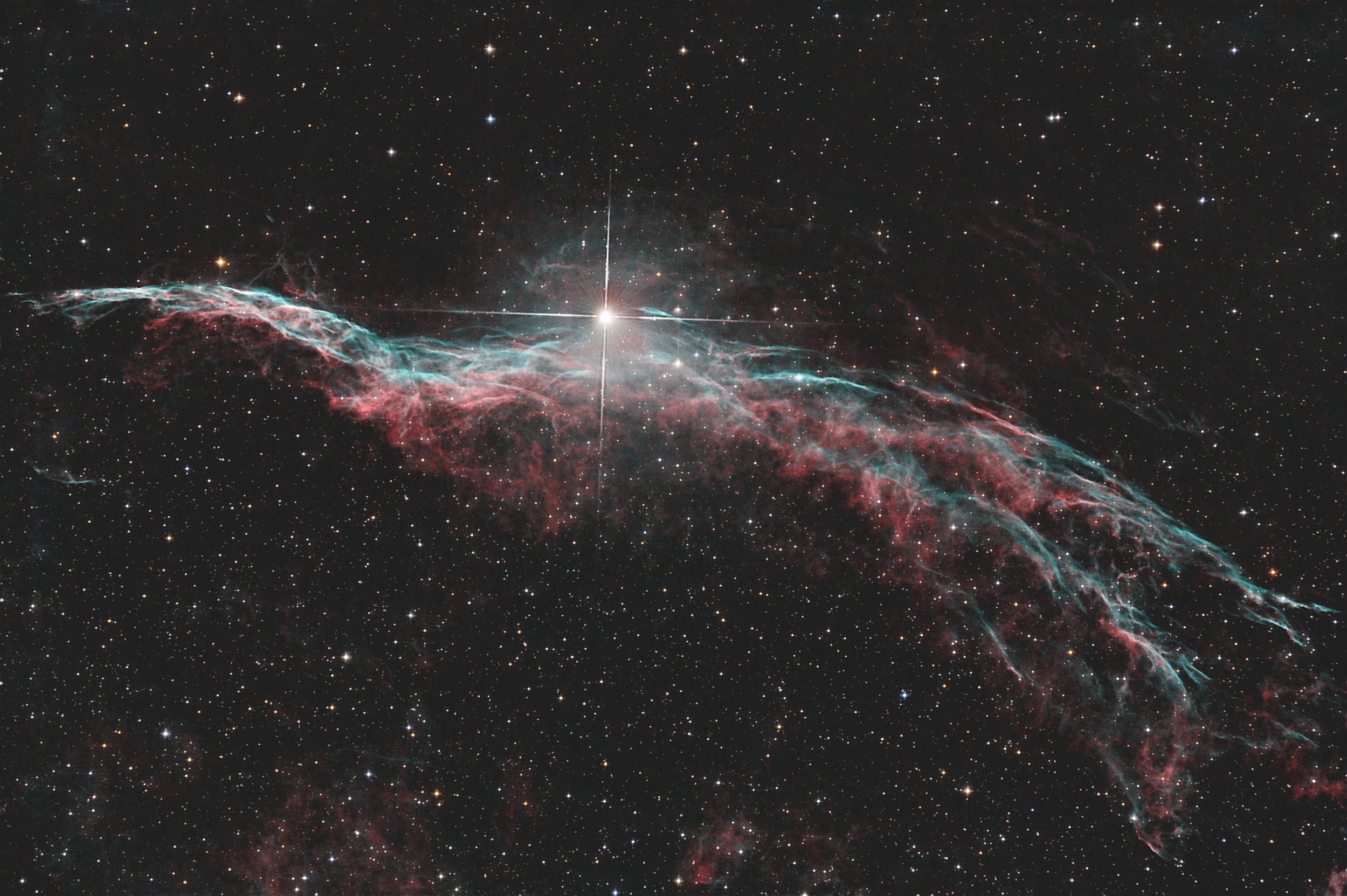 Sturmvogel_NGC6960