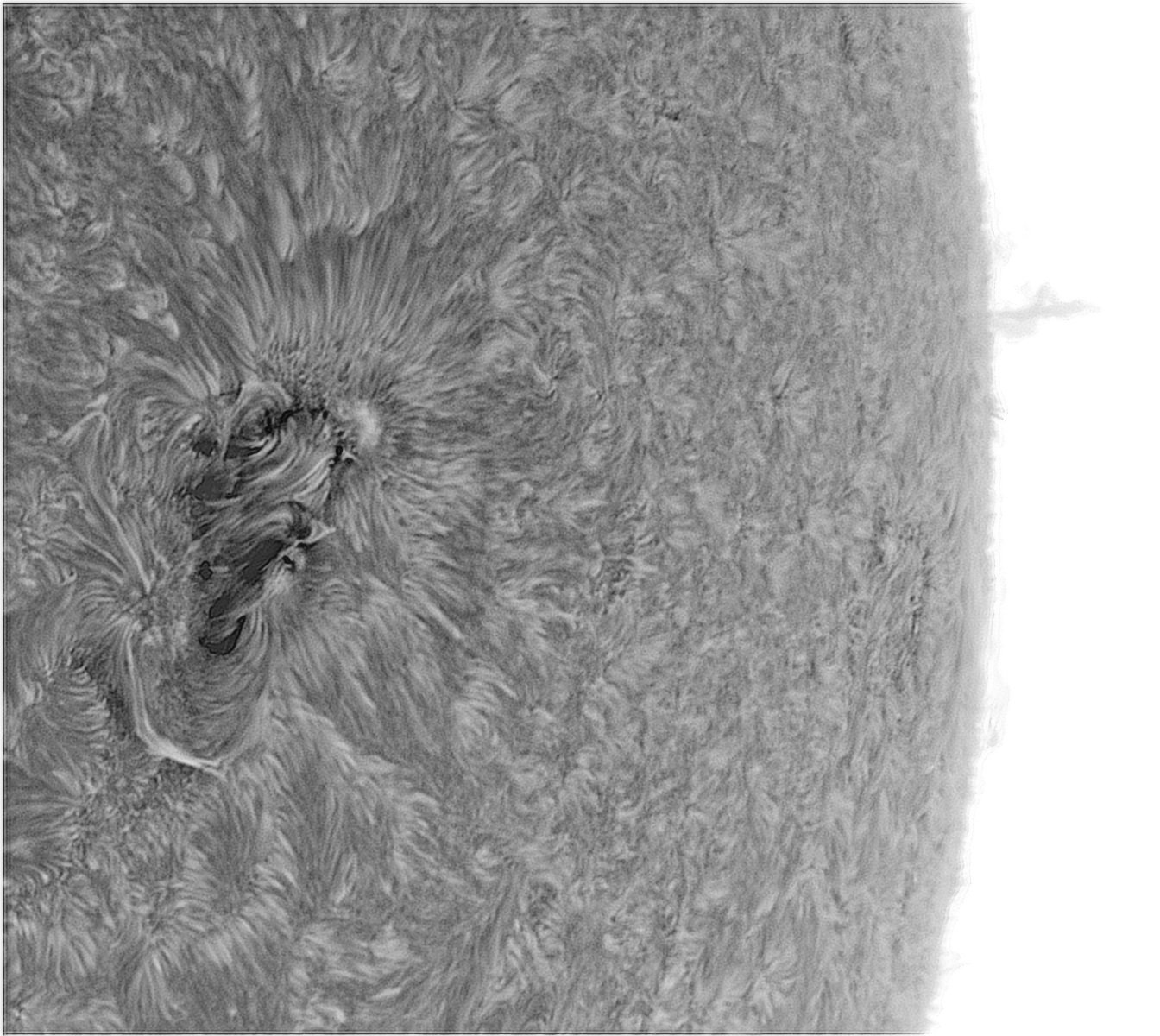 sun