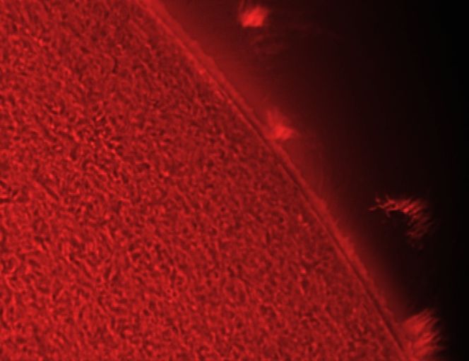 sun1.jpg