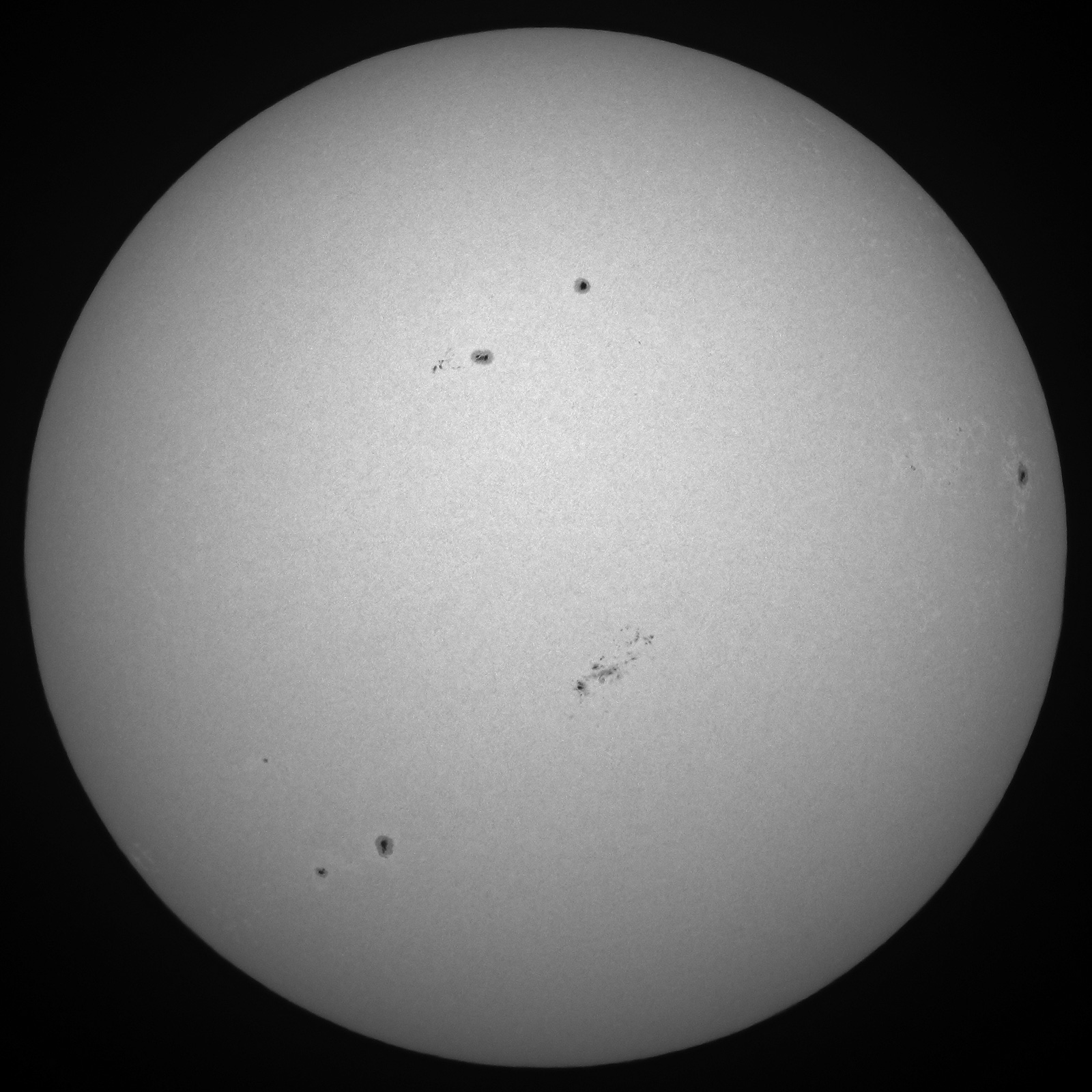 SUN_7397_Ixx_web.jpg