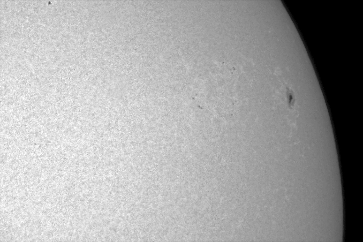 SUN_IMG_7401_d_web.jpg