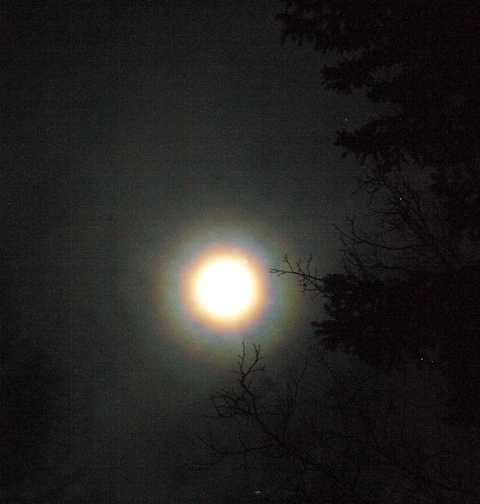 Supermond durch Altocumuluswolken
