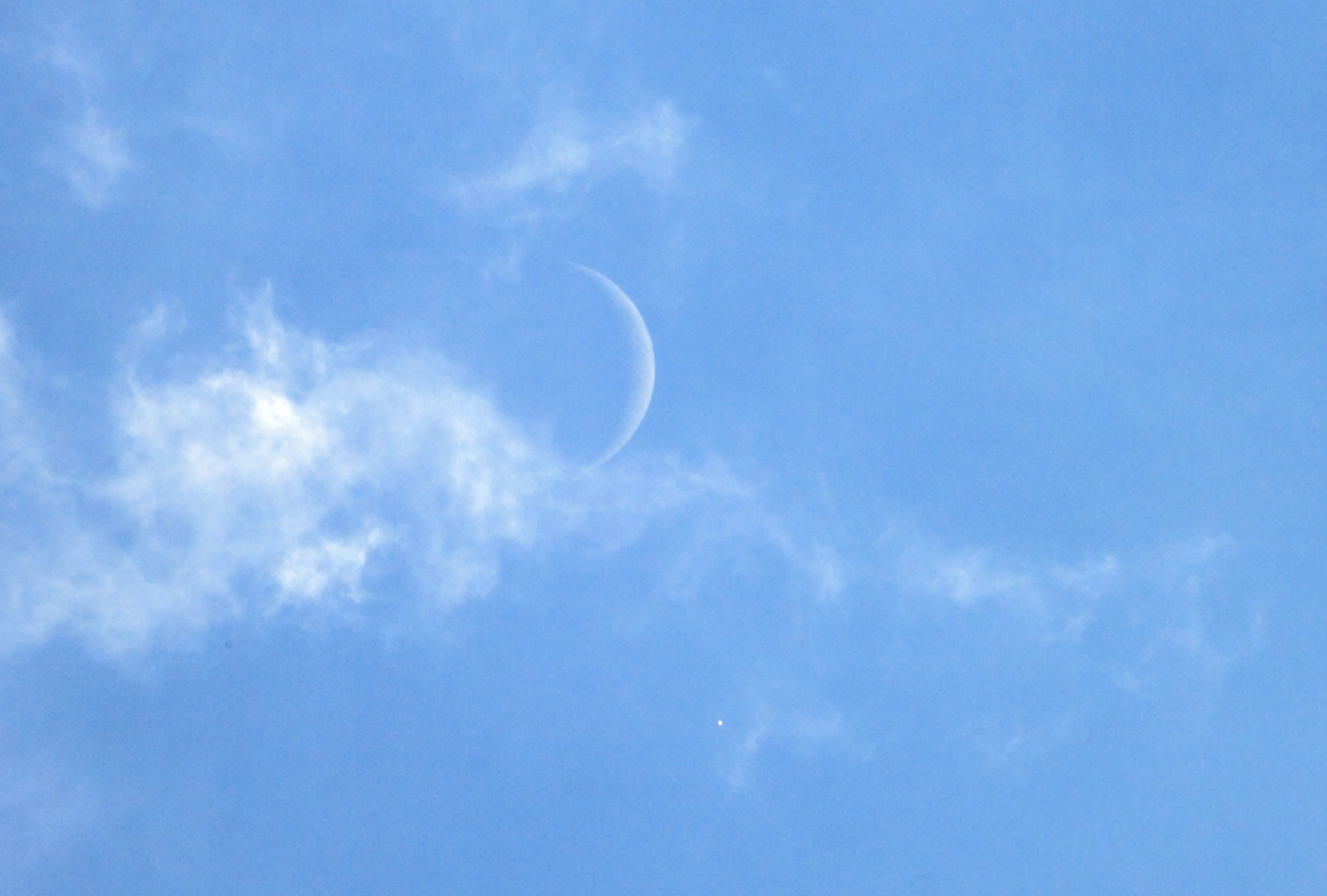 Taglicht Mond und Venus
