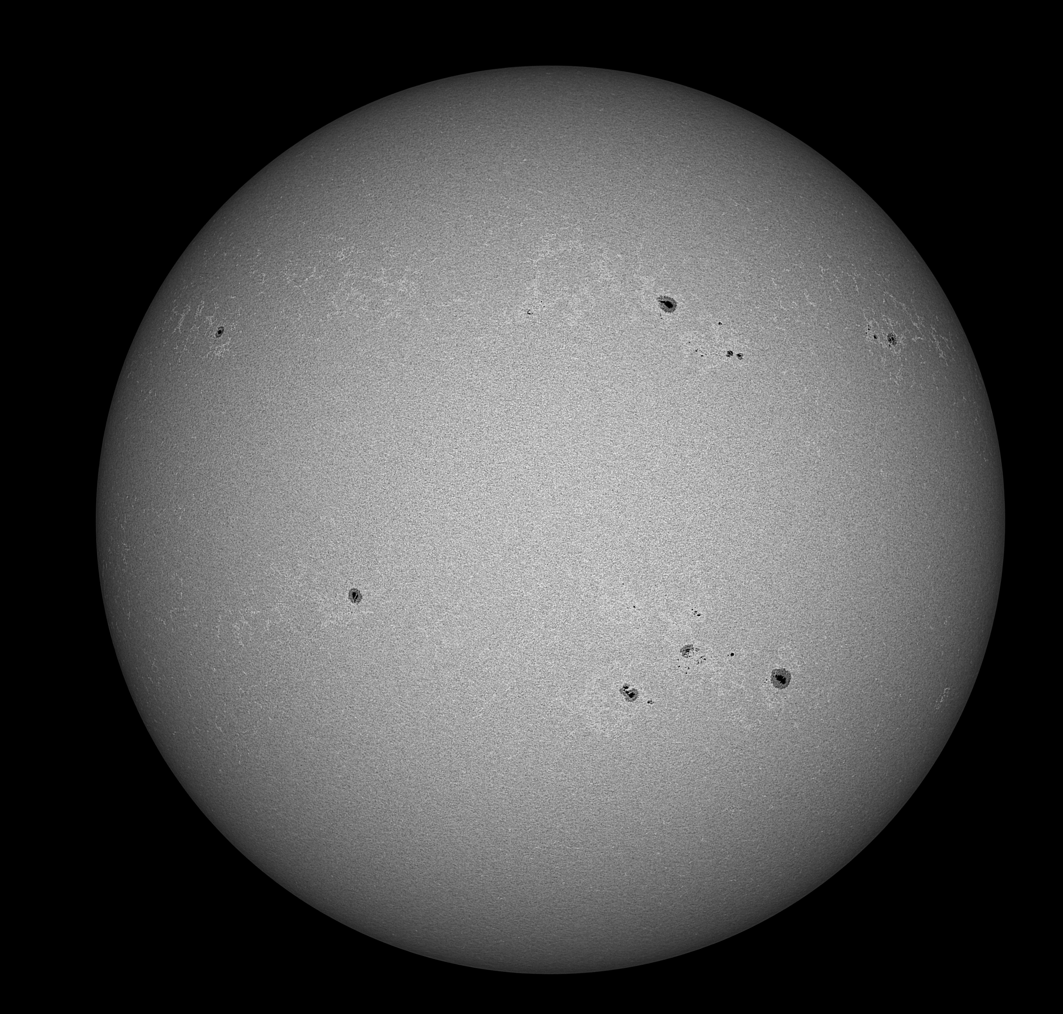 TSA_120 260323 12_07_51.jpg