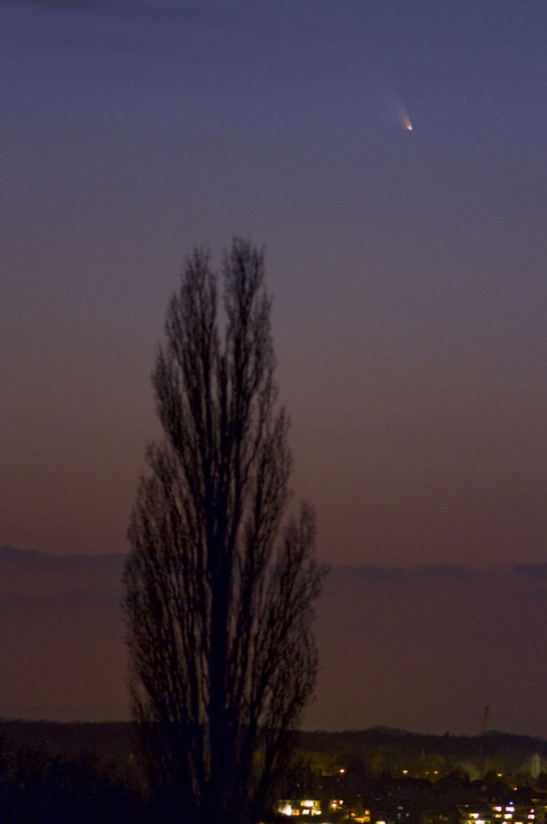 Und noch ein Panstarrs vom 14.3....