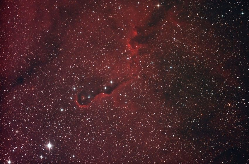 VDB 142