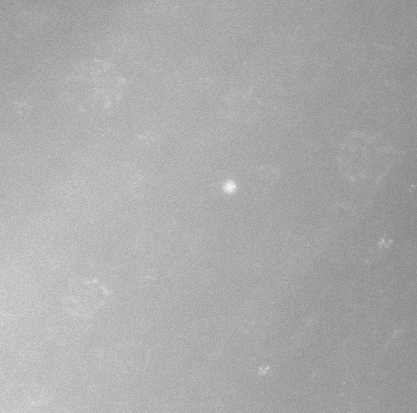 Venus 31. Mai 2016, Sonnenabstand 1,72 Grad
