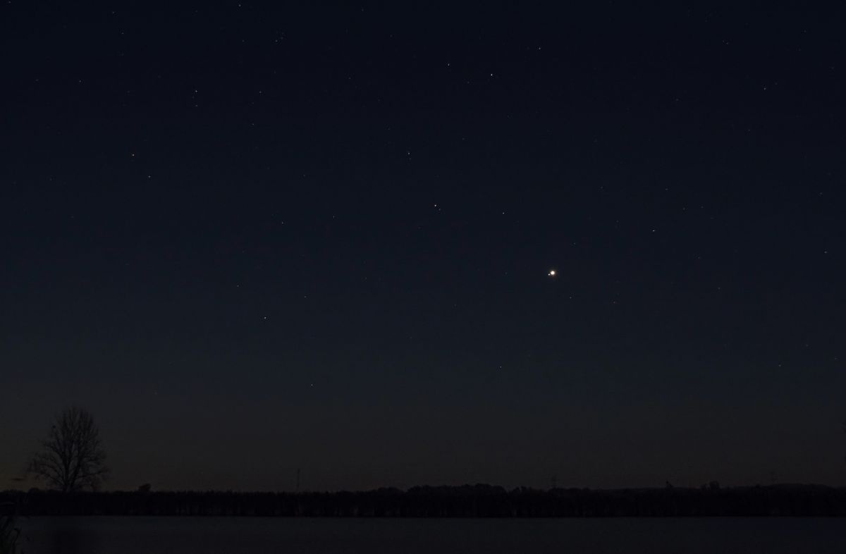 Venus als Hauptstern im Löwen