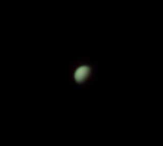 venus.jpg