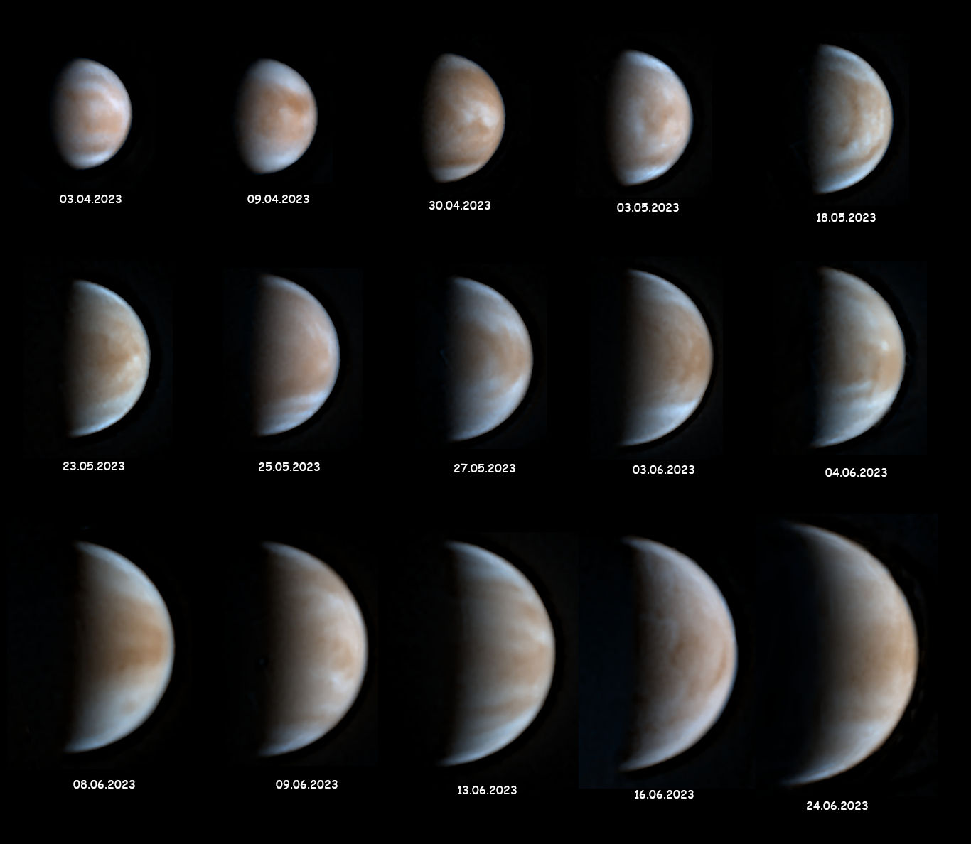 Venus-Saison-2023 - Nr1