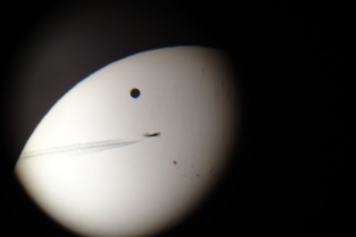 Venustransit.jpg
