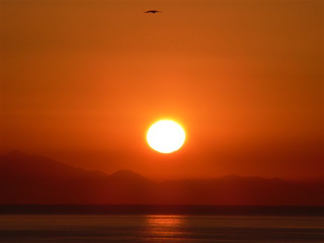 venustransit