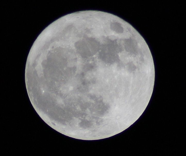 Voll!Mond!