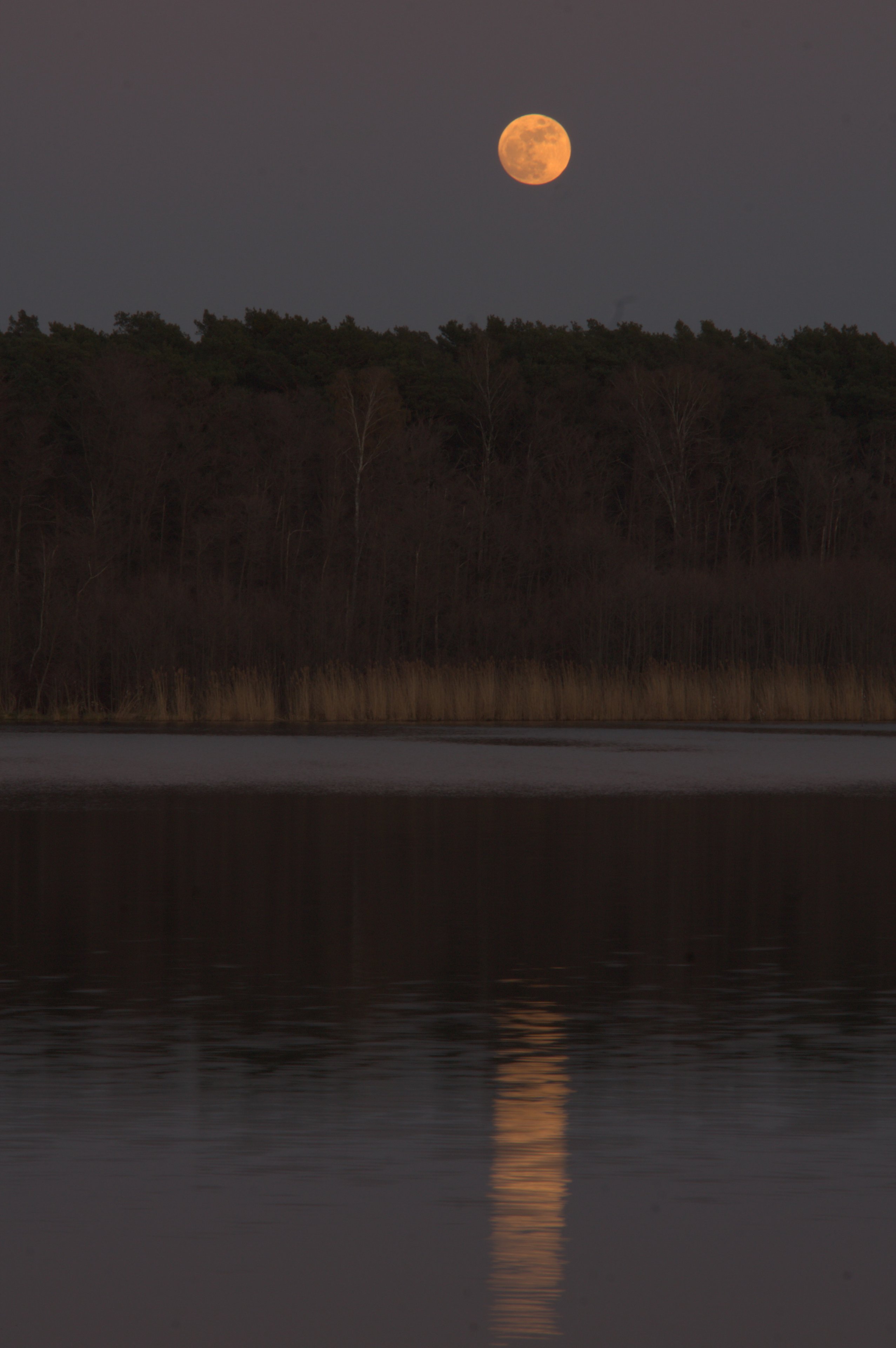 Vollmond 01.04.2026