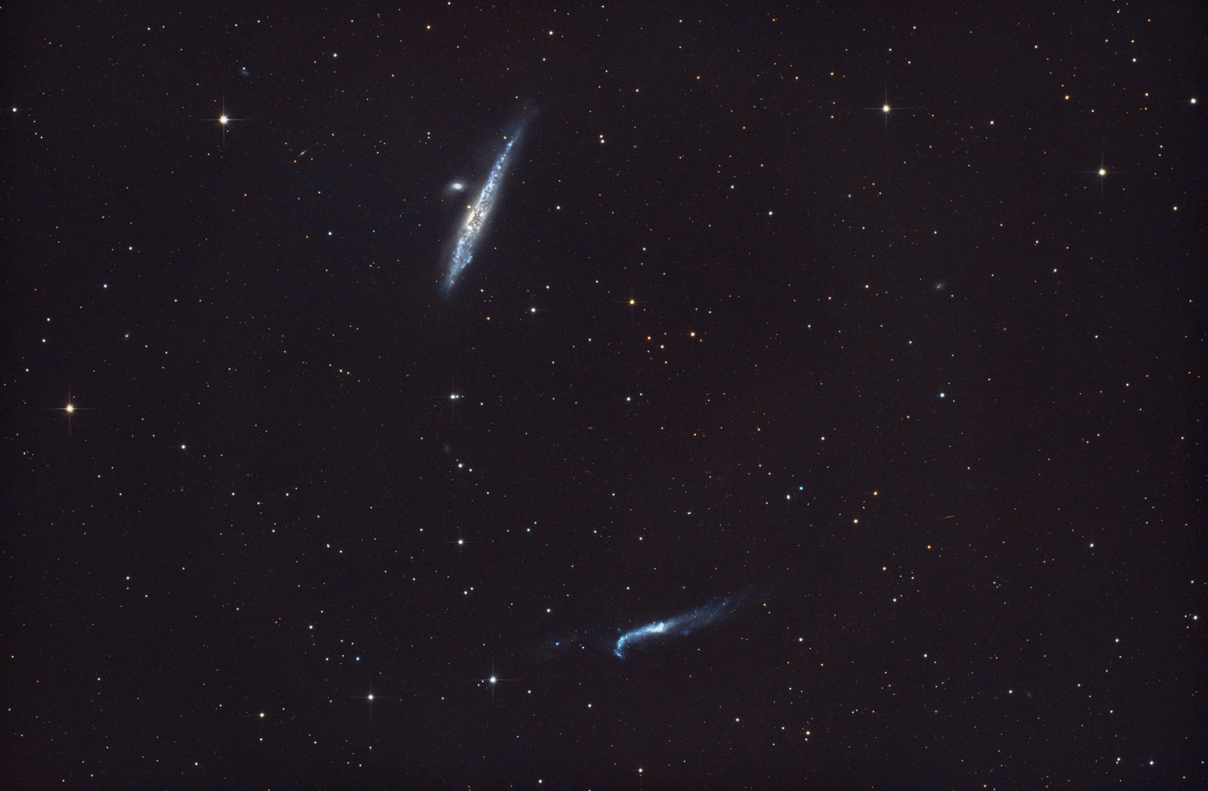 Wal Galaxie & Hockey Stick