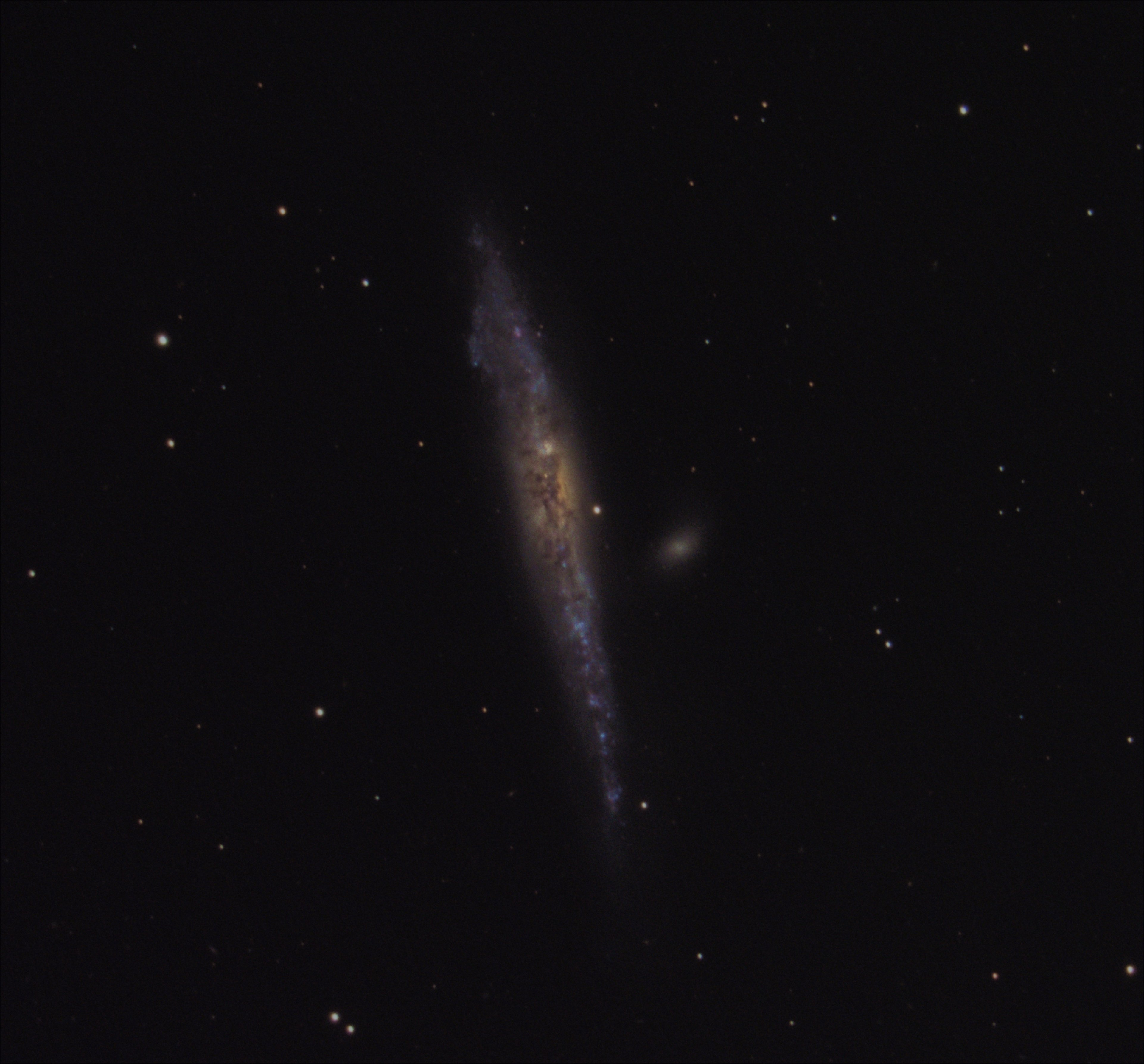 Walfischgalaxie NGC 4631